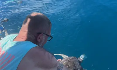 Quepos Report Video 0