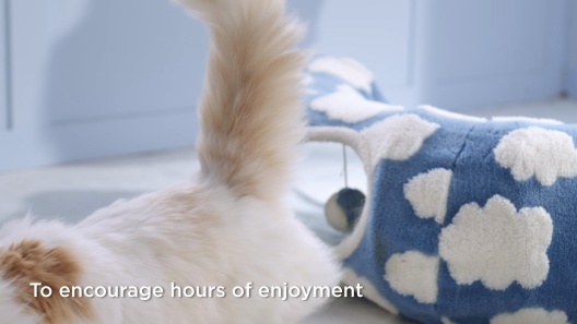 Lesure 2-in-1 Cat Tunnel Bed, Standard