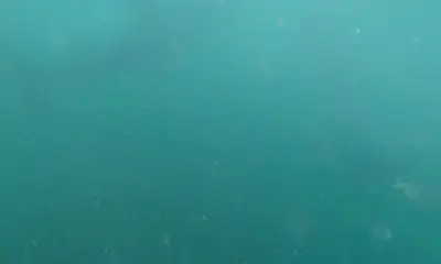 Panama City Report Video 0