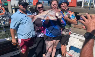 Gold Coast Report Video 0