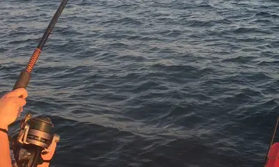 Sarasota Report Video 0