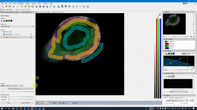 arivis Vision4D - Aprendizado de máquina