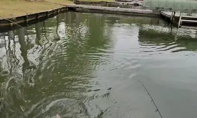 Atlanta Report Video 1