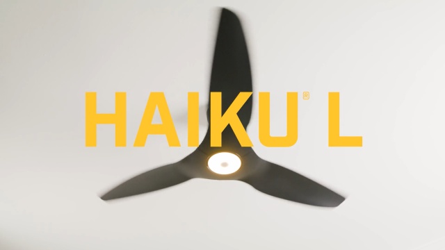 Haiku L Infrared Standard Remote Control