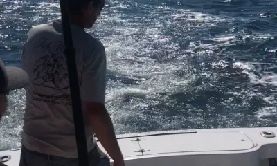 Carolina Beach Report Video 0