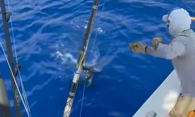 Perfect full day charter!