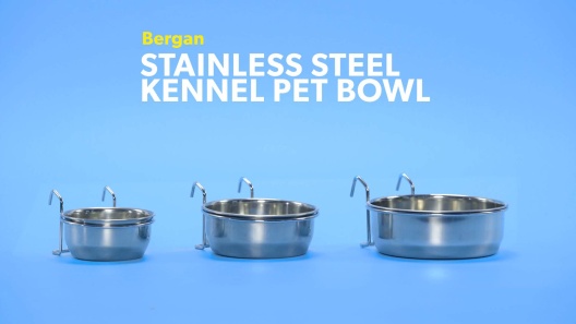 Vibrant Life Stainless Steel Dog Bowl, Medium