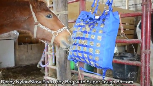 Derby Originals Slow Feed Hay Bag with Super Tough Bottom