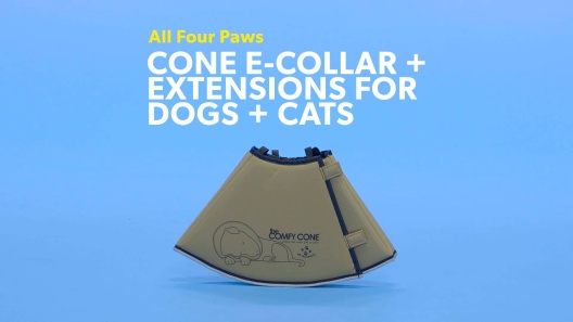 Play Video: Learn More About All Four Paws From Our Team of Experts