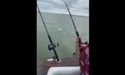 Galveston Report Video 0