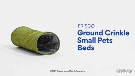 Play Video: Learn More About Frisco From Our Team of Experts