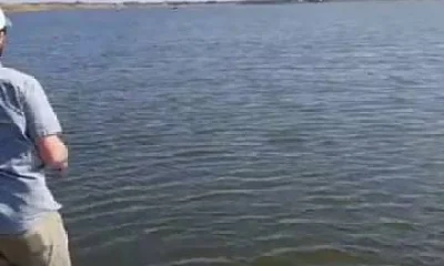 Port Sulphur Report Video 0