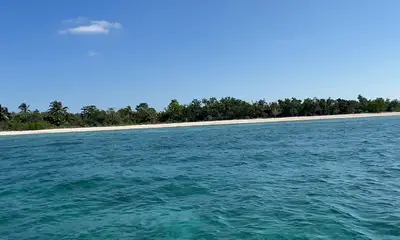 Perfect day fishing in Cozumel