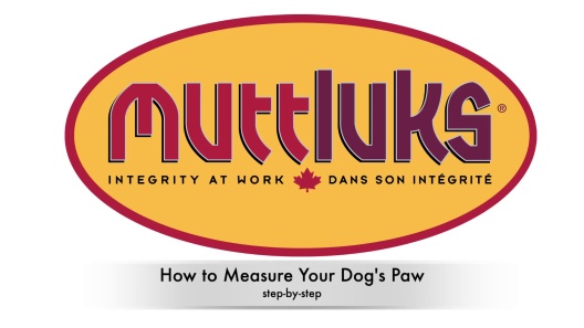 Play Video: Learn More About Muttluks From Our Team of Experts