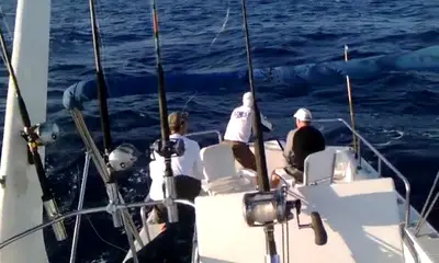 Cabo San Lucas Report Video 0