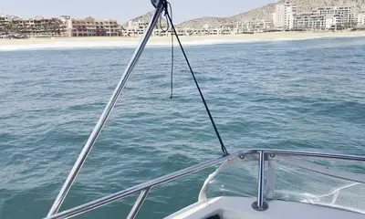 Cabo San Lucas Report Video 2