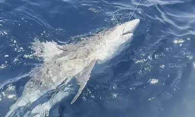 Great time on the water