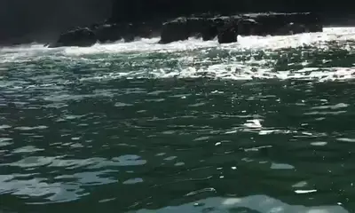 Herradura Report Video 1