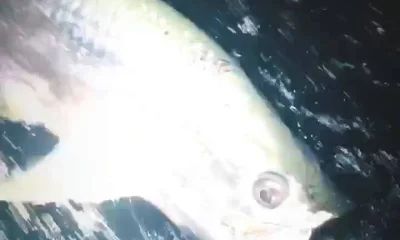 Miami Bericht Video 0