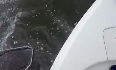 Capt. Alex is AWESOME!