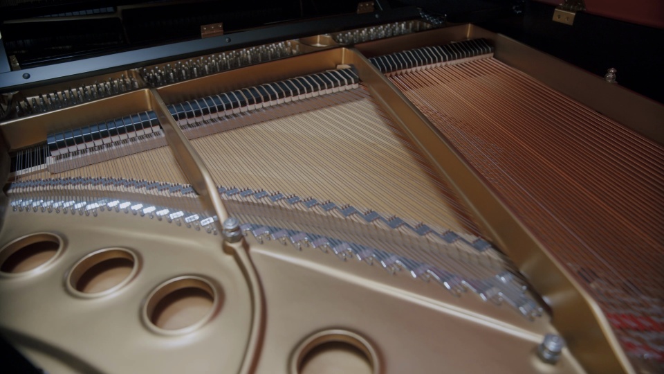 2019 Steinway Grand M Spirio