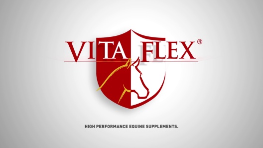 Vita Flex Pro  How to Choose Horse Boots