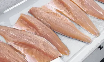 Grand Bend Report Video 1