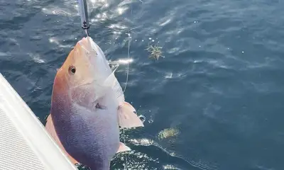 December fishing trip