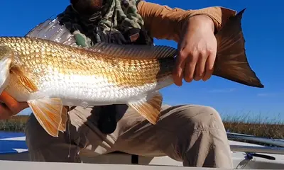 Jacksonville Report Video 0