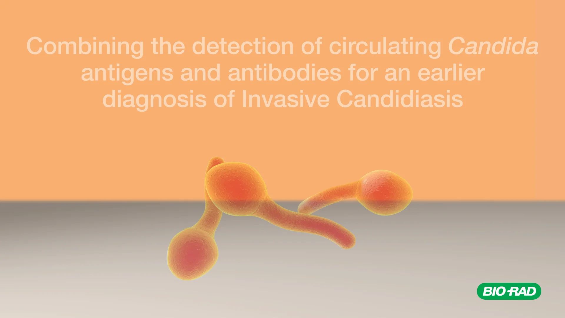 Mycology Range – Bio-Rad’s fungal infection detection assays
