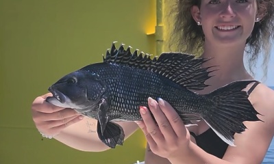 Sea Bass Bite Is Hot
