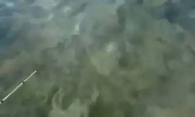 I asked and received 