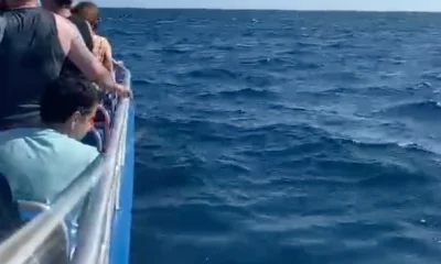 Faro Report Video 4
