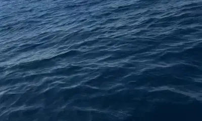 Boatload of Tunas & Fun