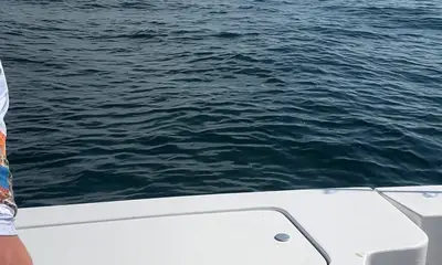 New York City Report Video 0