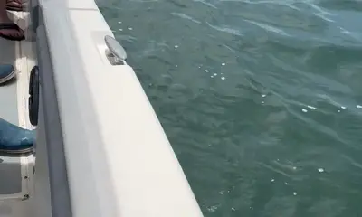 Best fishing charter of all time!! We caught so much!! 