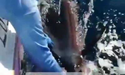 Herradura Report Video 0