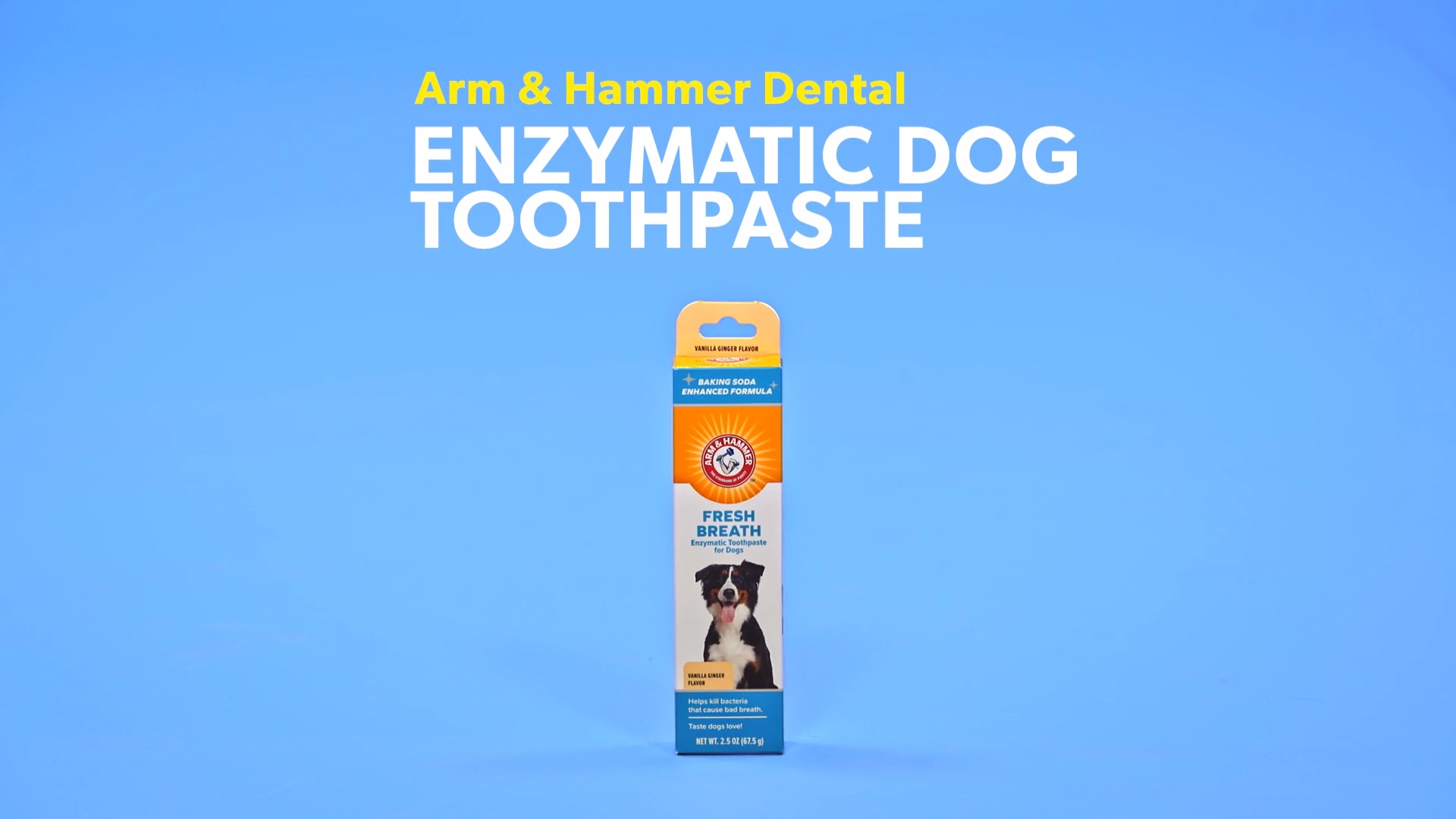 arm and hammer dog toothpaste