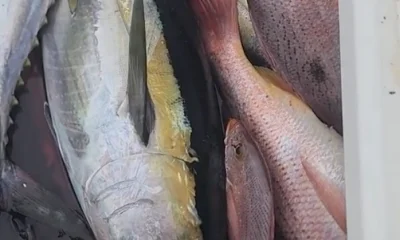 Panama City Report Video 0
