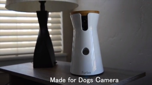 Play Video: Learn More About Furbo From Our Team of Experts