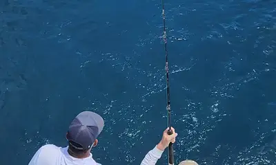 La Paz Report Video 0