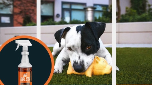 Invisible Fence Boundary Plus Dog Fence Boundary Cable 450m X 4mm