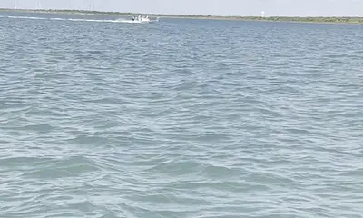 Port Isabel Report Video 0