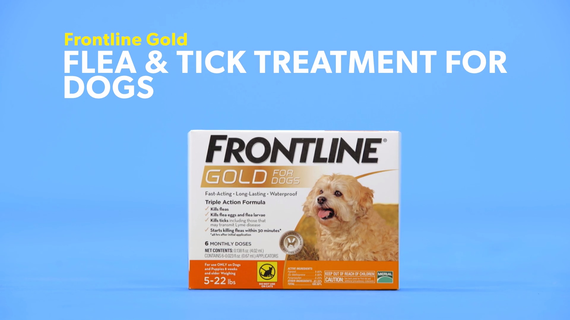 frontline gold for small dogs