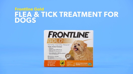 Frontline® GOLD for Dogs 23-44 lbs - BLUE (12 MONTH)