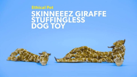 Play Video: Learn More About Ethical Pet From Our Team of Experts