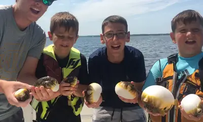 Lacey Township Report Video 0