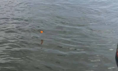 New Orleans Report Video 0