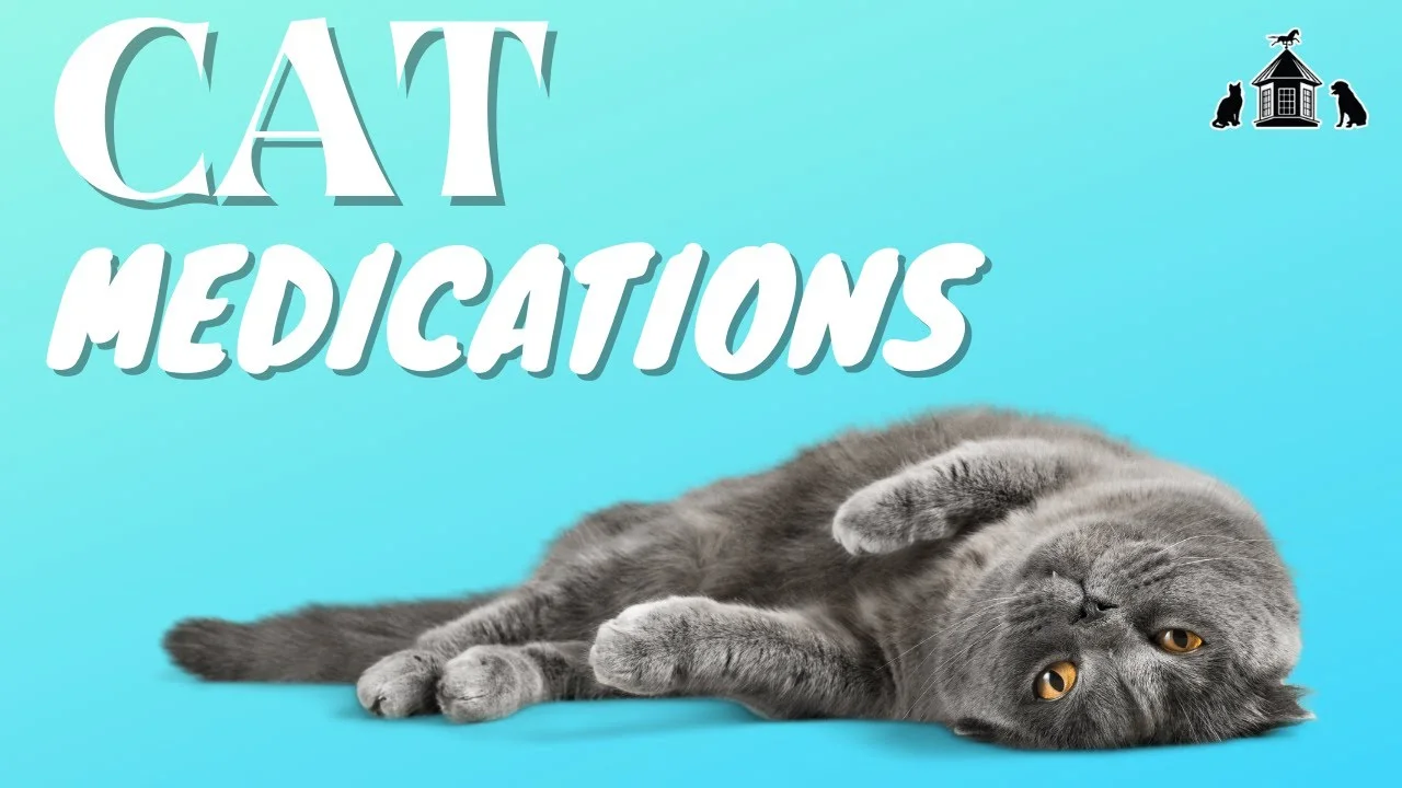 Meds clearance for cats