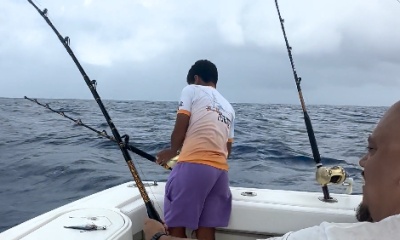 Great Experience
